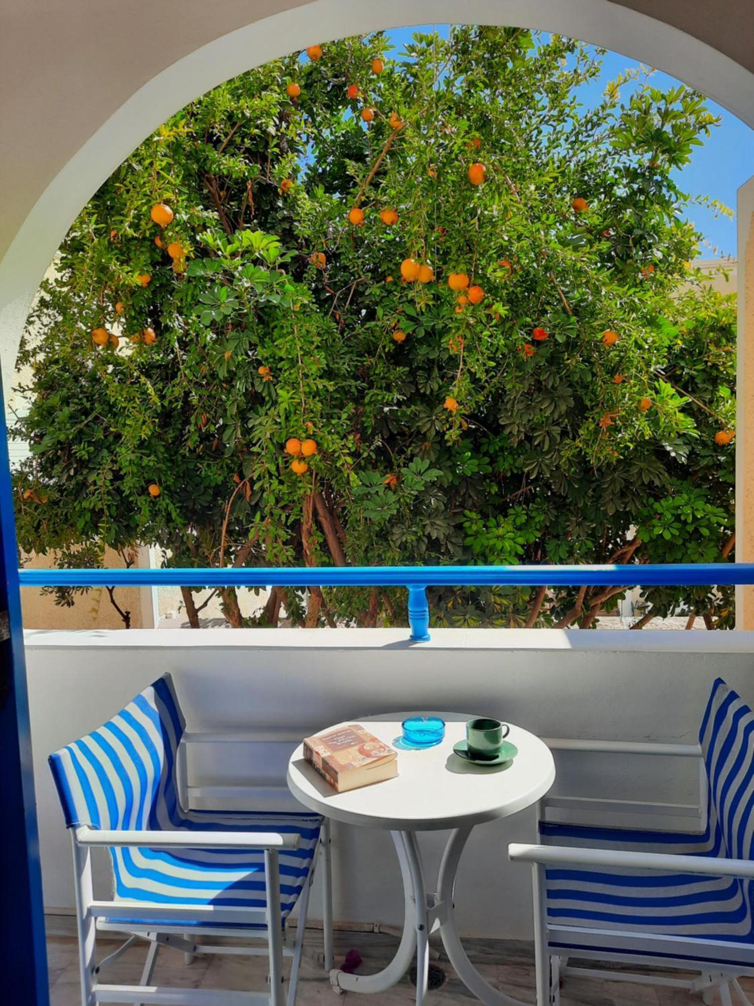 Hotel Zeus Kamári Kültér fotó